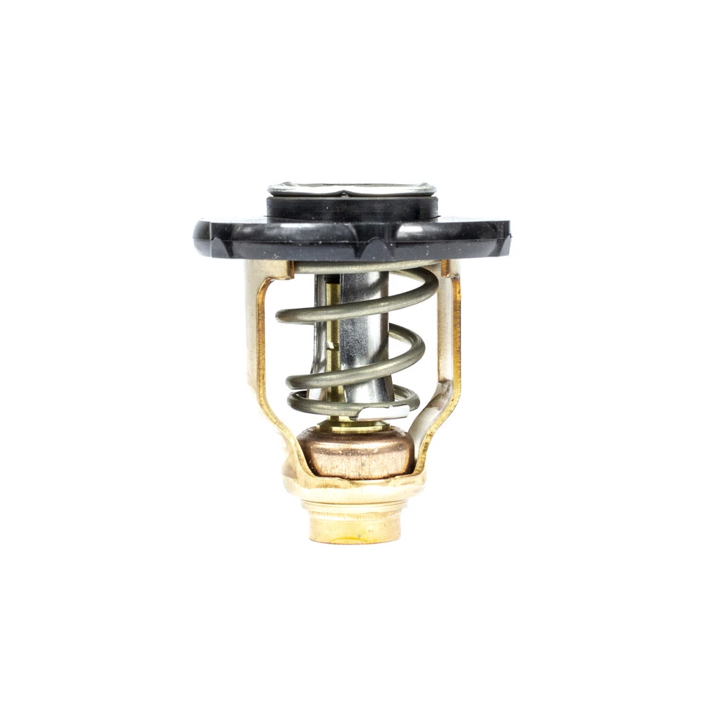 SIERRA 18-3640 MERCURY TERMOSTAT KİT ORJ:  8M0117413