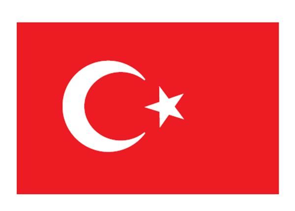 TÜRK BAYRAĞI  30X45